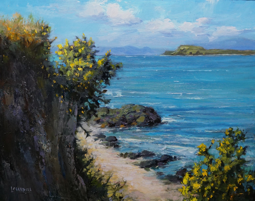 Hidden Cove